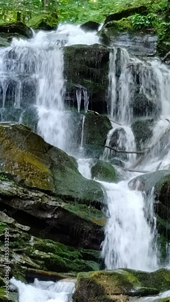 Fototapeta premium WATERFALL