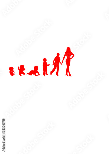 evolution fitness bodybuilding femme adulte foetus