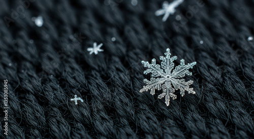 Macro Close-Up of a Delicate Snowflake on Black Background Highlighting Nature's Artistic Texture and Winter Beauty
