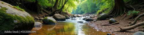 Muddy riverbank with moss-covered boulders and twisted tree roots, grunge, wilderness