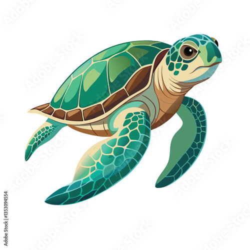 turtle on a white background