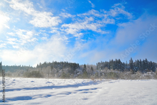 Wallpaper Mural 阿賀町の雪景色（新潟県） Torontodigital.ca