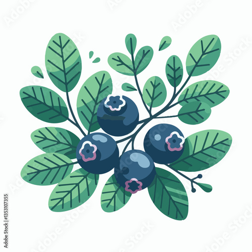 blueberry, bilberry, fresh, background, berry, food, blue, healthy, fruit, delicious, ripe, closeup, natural, white, dessert, leaves, organic, raw, sweet, vegetarian, berries, huckleberry, nutrition, 
