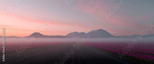Misty sunrise over tulip fields, mountains in background; scenic wallpaper