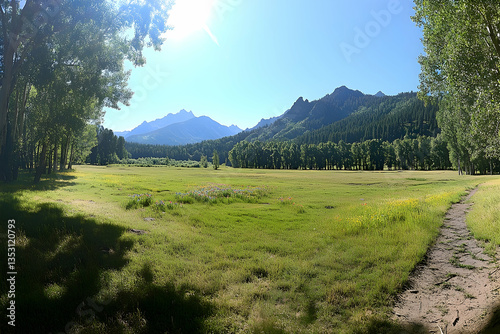 Sunny meadow trail, mountain vista, wildflowers, summer.  Travel photography