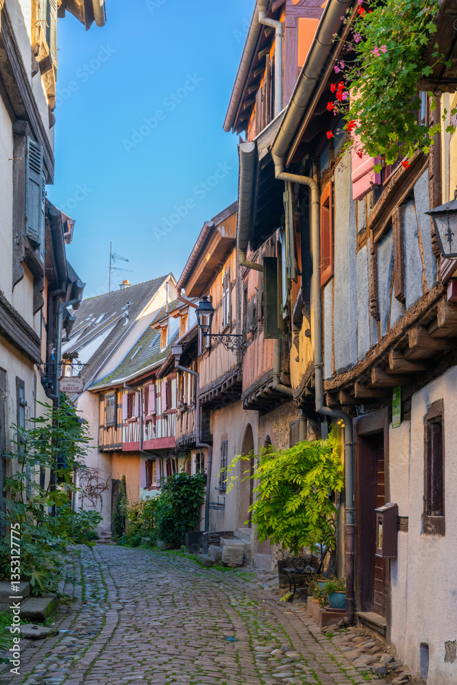 Fototapeta premium Eguisheim is a medieval village in France’s Alsace wine region, France