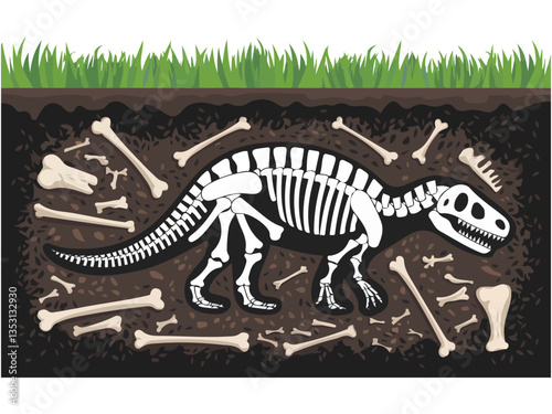 Soil layers with fossil skeleton��