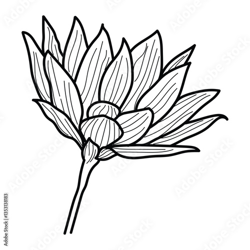 Abstract flower in one line art drawing style. Black line sketch on white background. Vector illustration.
