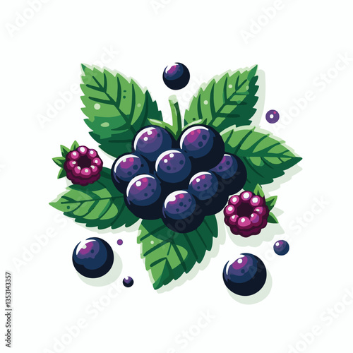 organic, berry, boysenberry, food, healthy, plant, blackberry, ripe, fresh, nature, natural, background, isolated, fruit, leaf, berries, sweet, juicy, illustration, branch, summer, ingredient, raspber
