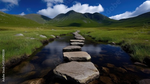 Wallpaper Mural A natural stone pathway through a tranquil mountain stream. Lush green meadows and peaks rise in the background Torontodigital.ca