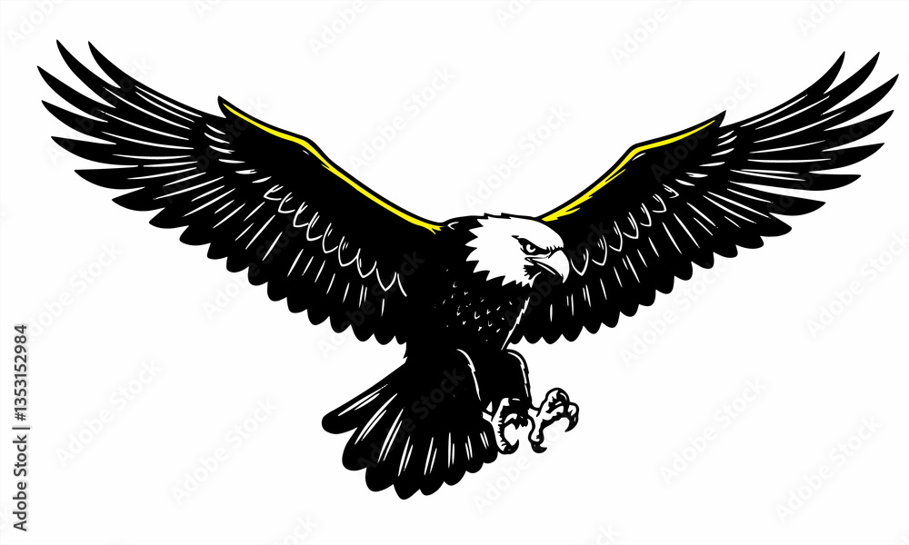 Obraz premium eagle in flight