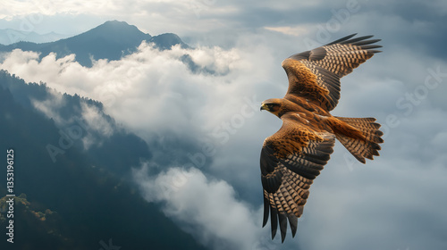 Majestic Free Falcon Soaring with Its Wings Fully Extended Above the Clouds and Rugged Mountain Peaks, Captured from an Aerial Perspective