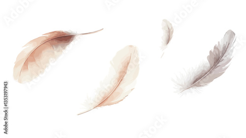 The image shows four individual feathers of varying shades of brown, beige, and gray, seemingly floating against a pure white background.  The feathers are presented in a slightly scattered