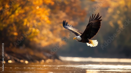 a bald eagle soaring in flight over a body of water and the trees in the background.