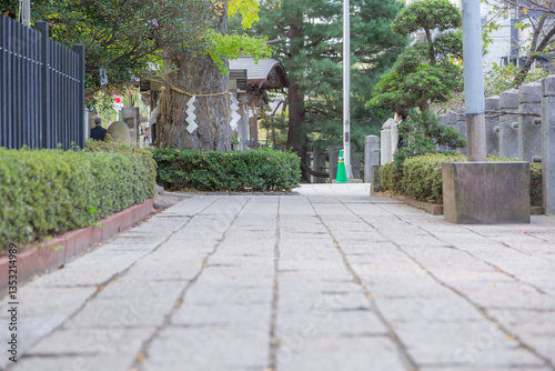 surface of stone pavement in matsudo shrine