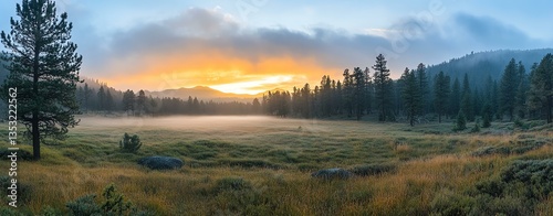Serene sunrise over a misty meadow landscape.