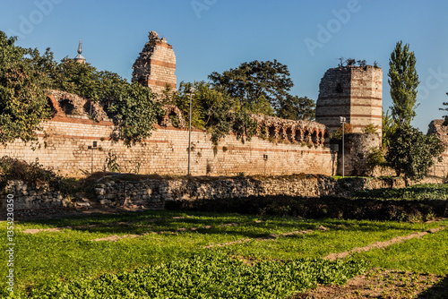 Photos Vegetable patches next to Theodosian Land Walls in Istanbul, Turkey