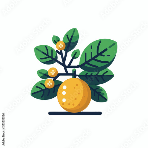 citrus, green, fresh, fruit, organic, food, tropical, background, closeup, juicy, nature, juice, ripe, healthy, vitamin, isolated, leaf, yellow, color, orange, natural, sweet, white, diet, object, veg