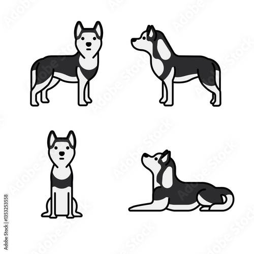 siberian-husky-dog