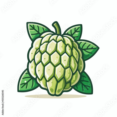 cherimoya, green, fruit, fresh, food, ripe, exotic, sweet, tropical, organic, custard, background, healthy, raw, annona, white, custard apple, delicious, tasty, isolated, dessert, seed, half, chirimoy