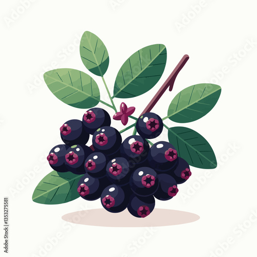 chokeberry, nature, leaf, plant, berry, aronia, fruit, branch, ripe, food, black, green, fresh, natural, garden, healthy, background, organic, nutrition, raw, bush, berries, autumn, leaves, antioxidan