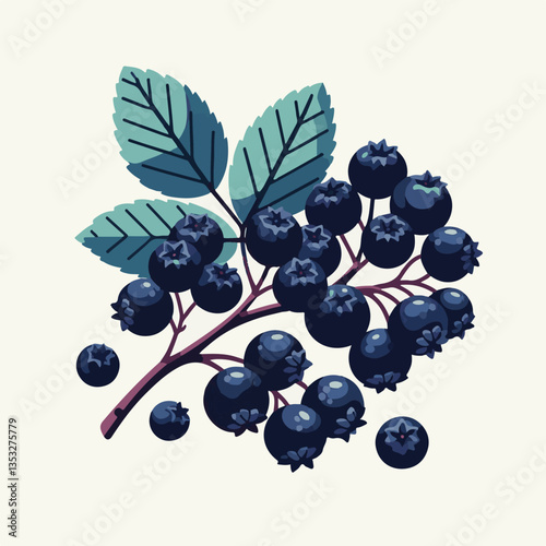 chokeberry, nature, leaf, plant, berry, aronia, fruit, branch, ripe, food, black, green, fresh, natural, garden, healthy, background, organic, nutrition, raw, bush, berries, autumn, leaves, antioxidan