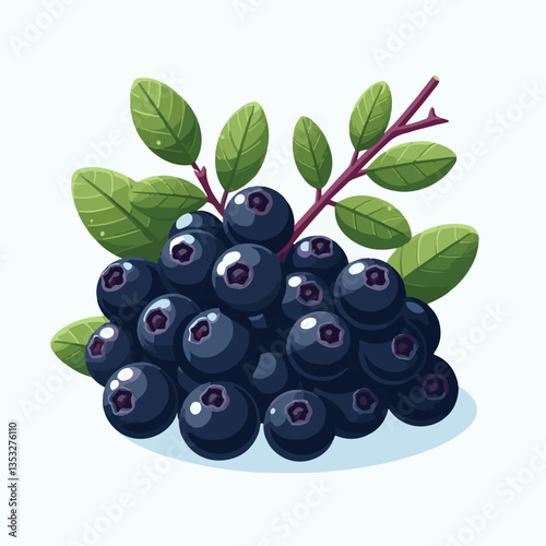 chokeberry, nature, leaf, plant, berry, aronia, fruit, branch, ripe, food, black, green, fresh, natural, garden, healthy, background, organic, nutrition, raw, bush, berries, autumn, leaves, antioxidan