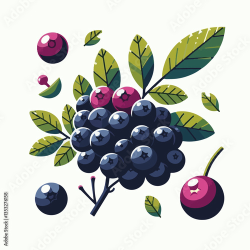 chokeberry, nature, leaf, plant, berry, aronia, fruit, branch, ripe, food, black, green, fresh, natural, garden, healthy, background, organic, nutrition, raw, bush, berries, autumn, leaves, antioxidan