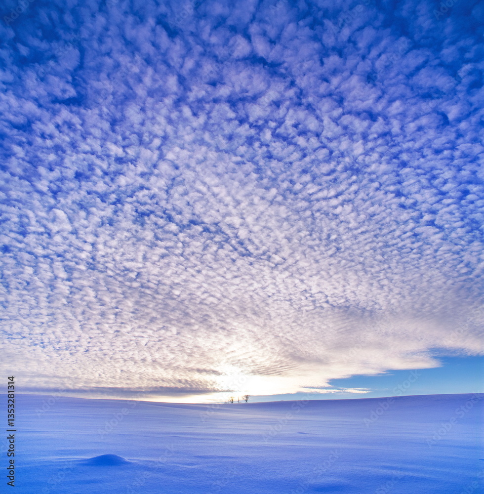 Obraz premium 日の入り直前とウロコ雲（美瑛町）