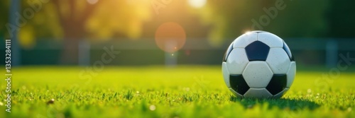 Soccer ball bouncing on field , field, energy