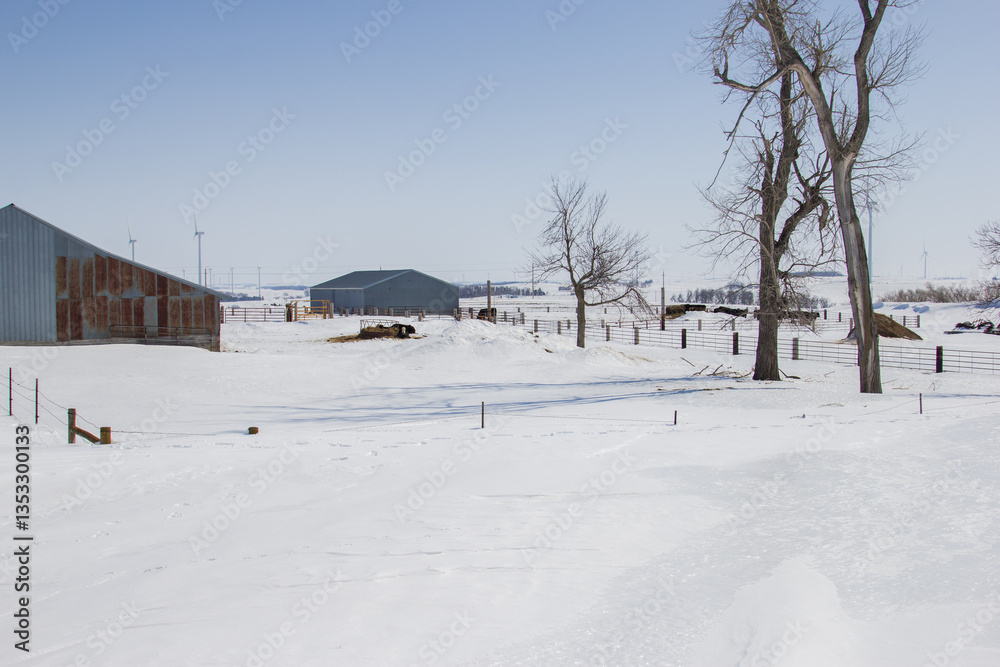 Naklejka premium farm yard with deep snow