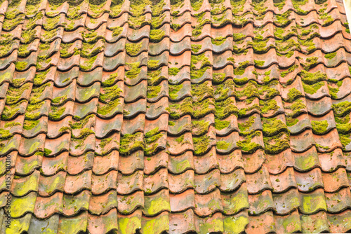 Europe, Netherlands, Flevoland. Dutch terra cotta tiled roof with moss.
