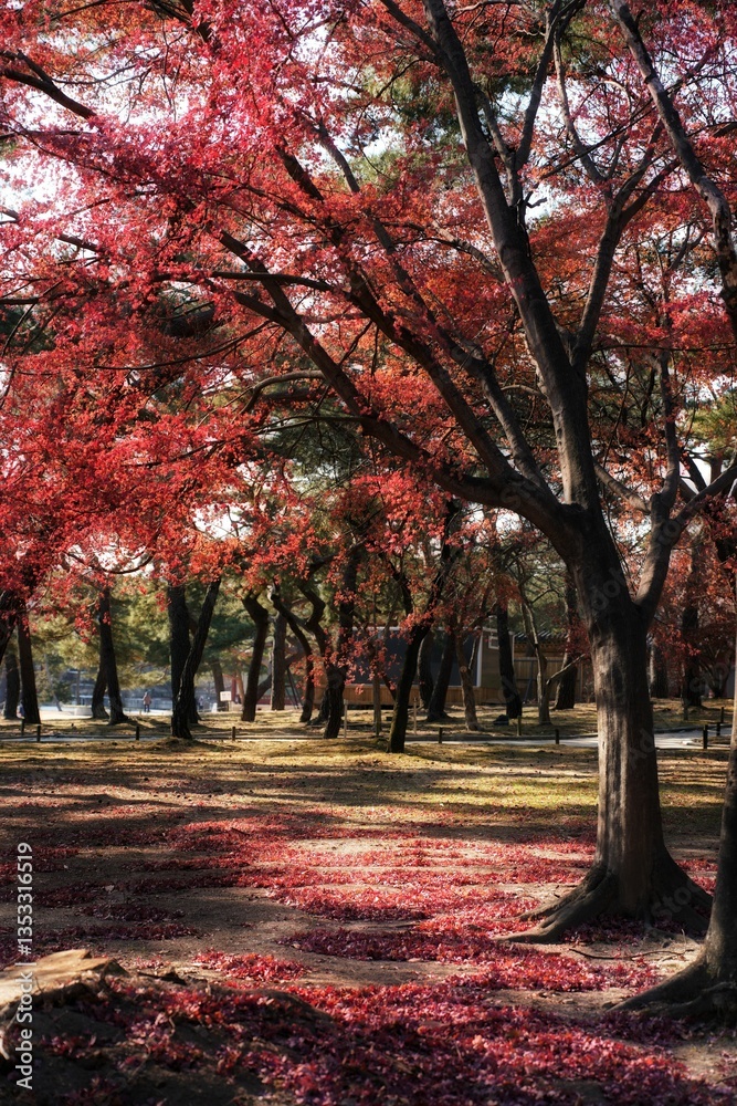 Naklejka premium 창경궁의 붉은 가을