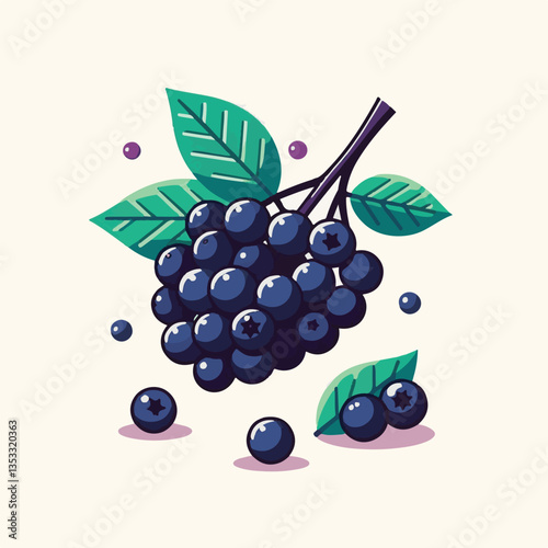 chokeberry, nature, leaf, plant, berry, aronia, fruit, branch, ripe, food, black, green, fresh, natural, garden, healthy, background, organic, nutrition, raw, bush, berries, autumn, leaves, antioxidan