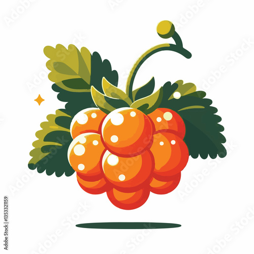 berry, cloudberry, food, natural, nature, healthy, fresh, background, organic, isolated, ripe, juicy, fruit, summer, illustration, orange, green, sweet, vitamin, leaf, nordic, plant, red, forest, tast