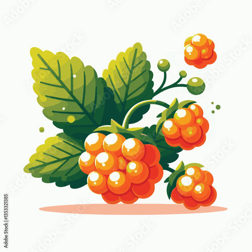 berry, cloudberry, food, natural, nature, healthy, fresh, background, organic, isolated, ripe, juicy, fruit, summer, illustration, orange, green, sweet, vitamin, leaf, nordic, plant, red, forest, tast