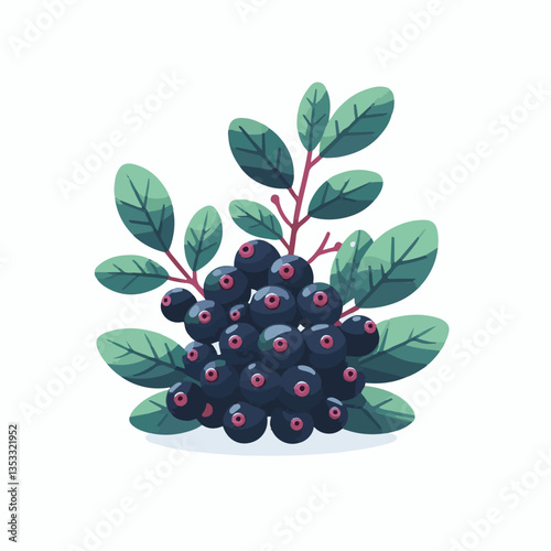 chokeberry, nature, leaf, plant, berry, aronia, fruit, branch, ripe, food, black, green, fresh, natural, garden, healthy, background, organic, nutrition, raw, bush, berries, autumn, leaves, antioxidan