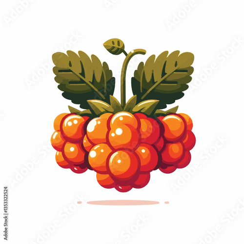 berry, cloudberry, food, natural, nature, healthy, fresh, background, organic, isolated, ripe, juicy, fruit, summer, illustration, orange, green, sweet, vitamin, leaf, nordic, plant, red, forest, tast