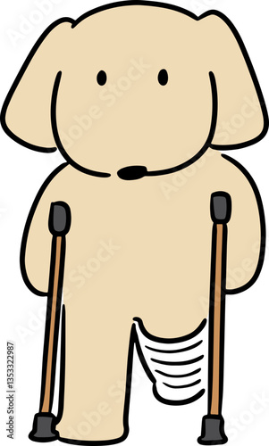 Illustration of dog using orthopedic cast
