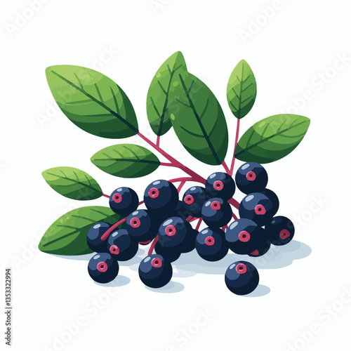 chokeberry, nature, leaf, plant, berry, aronia, fruit, branch, ripe, food, black, green, fresh, natural, garden, healthy, background, organic, nutrition, raw, bush, berries, autumn, leaves, antioxidan