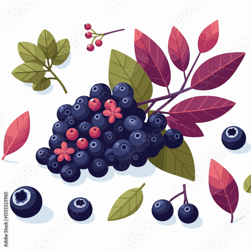 chokeberry, nature, leaf, plant, berry, aronia, fruit, branch, ripe, food, black, green, fresh, natural, garden, healthy, background, organic, nutrition, raw, bush, berries, autumn, leaves, antioxidan
