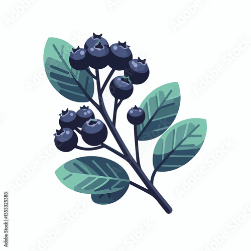 chokeberry, nature, leaf, plant, berry, aronia, fruit, branch, ripe, food, black, green, fresh, natural, garden, healthy, background, organic, nutrition, raw, bush, berries, autumn, leaves, antioxidan