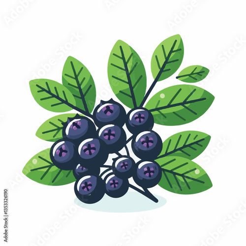 chokeberry, nature, leaf, plant, berry, aronia, fruit, branch, ripe, food, black, green, fresh, natural, garden, healthy, background, organic, nutrition, raw, bush, berries, autumn, leaves, antioxidan