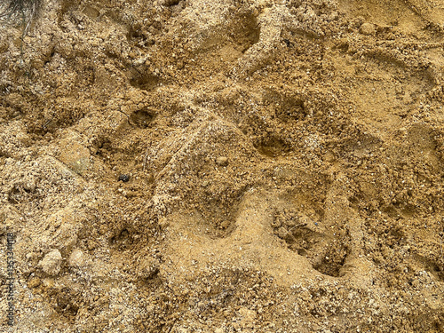 close up sand texture, background