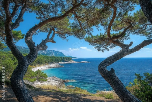 Summer Coastal Landscape with Twisted Pines Vibrant Blue Sea and Sky Gotland Sweden