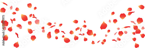 rose confetti shower vector illustration
