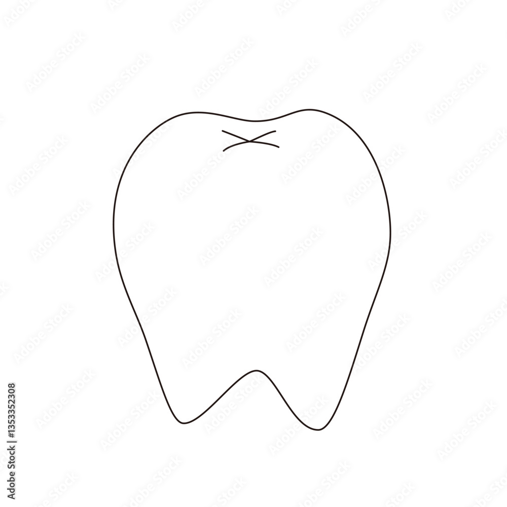 歯 歯