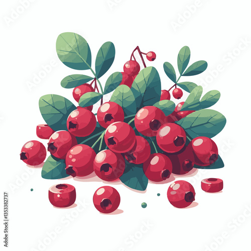 red, fruit, food, cranberry, ripe, berry, organic, juicy, isolated, background, fresh, healthy, sweet, group, green, cowberry, lingonberry, vitamin, cranberries, leaf, white, leaves, raw, natural, ber