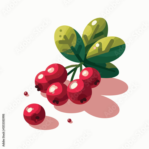 red, fruit, food, cranberry, ripe, berry, organic, juicy, isolated, background, fresh, healthy, sweet, group, green, cowberry, lingonberry, vitamin, cranberries, leaf, white, leaves, raw, natural, ber