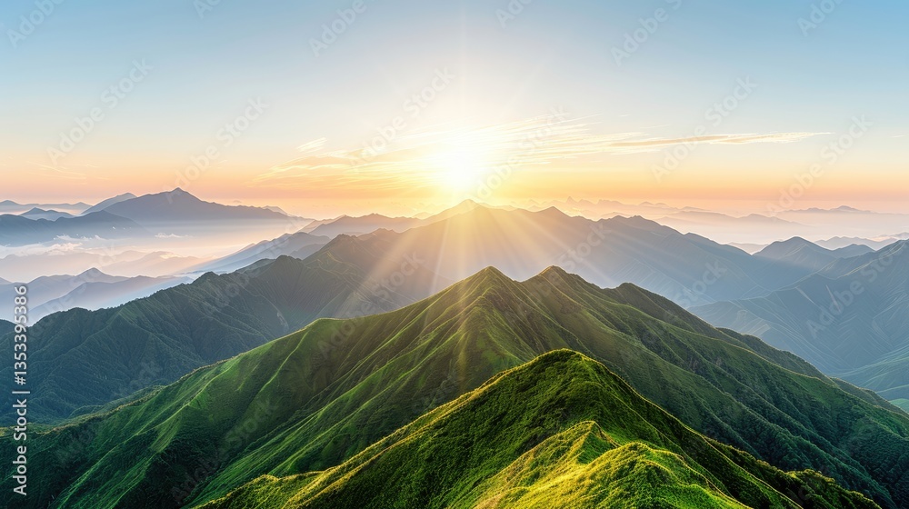 Fototapeta premium Beautiful view of mountains covered in green at sunrise